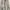 GUESS PARKA JACKET M65 photo 5