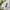 Streetwear Crop top Wanita white photo 3