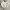 Streetwear Crop top Wanita white photo 6