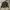 Uniform Bridge Heavy Weight Canvas Jacket  photo 1