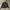 Uniform Bridge Heavy Weight Canvas Jacket 