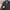 Uniform Bridge Heavy Weight Canvas Jacket  photo 3