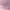 dress pink photo 2