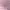 Dress Pink