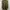 Green Blazer/Outer photo 3