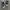NIKE ZOOM 2K BLACK AND WHAITE photo 4