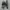Sendal Under Armour Camo photo 4