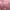 Pink Kebaya Top photo 3