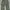 VTG 70'S DSA100 M65 MILITARY KARGO PANTS BY WINFIELD MFG CO