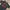 Xlarge photo 2