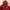 Dickies Pullover Hoodie DSR3UTHT332 - Red photo 2