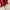 Dickies Pullover Hoodie DSR3UTHT332 - Red photo 5