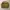Thisisneverthat SP-Logo Crewneck - Mustard photo 1