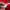 TRACKTOP ADIDAS AC MILAN 2013 photo 5