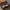 Air jordan 1 low court purple photo 2