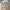 Dickies Casual Casual pants Pria tan khaki photo 3