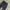 Celana Workwaer BLAUER usa photo 2