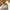 Chino Pants O’shKosh Japan Classic Loose fit  - Size 33 photo 5