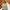 Chino Pants O’shKosh Japan Classic Loose fit  - Size 33 photo 1