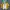 Sepatu Nike Zoom X Vaporfly Running photo 8