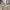 Dickies Casual Casual pants Pria tan khaki photo 3