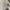 Dickies Casual Casual pants Pria khaki photo 7