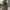 PLINTH L