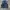 Vest tactical denim multi pocket danpol photo 1