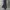 Dasi/Tie Aquascutum Pattern Polkadot photo 3
