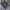 Dasi/Tie Aquascutum Silk photo 5