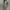 Dasi/Tie Aquascutum Silk photo 3