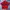 Vtg dragon red graphic shirt y2k photo 1