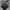 Dasi/Tie Giorgio Armani Pattern Stripe Silk photo 6