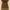 Caramel Lace Dress photo 1
