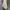 Dasi/Tie Givenchy Pattern Floral Silk photo 3