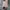 Dasi/Tie Givenchy Pattern Floral Silk photo 5