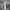 Dasi/Tie Givenchy Pattern Floral Silk photo 2