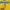 HOODIE FELTICS NYALAH WARNA KUNING  photo 5