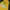 HOODIE FELTICS NYALAH WARNA KUNING  photo 1