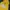 HOODIE FELTICS NYALAH WARNA KUNING 