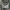 Dasi/Tie Fendi Pattern Silk photo 7