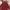 Zadig & Voltaire Luxury Casual dress Wanita red photo 3