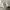 COMME des GARÇONS Luxury Blouse Wanita white photo 4