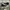 Converse All Star Black White photo 2