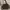 Coach Shoulder Bag photo 1