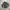 Tate Slimfit Longshirts photo 1