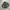 Tate Slimfit Longshirts