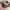 Coach Tote Bag Signature Stripe photo 6