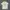 Kaos Nike second photo 1