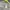 Kaos Guess second photo 4